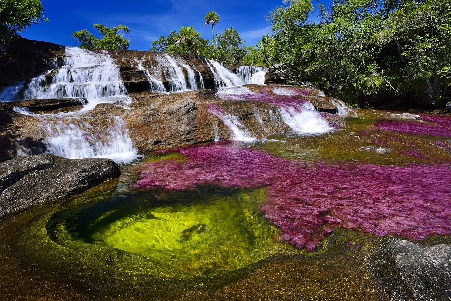 Caño Cristales, el río de los cinco colores, lugares más bellos del mundo, naturaleza salvaje 2