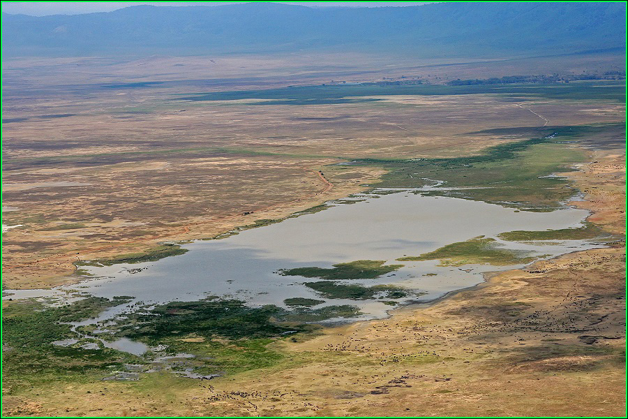 Cráter del Ngorongoro, Zona de conservación de Ngorongoro, Tanzania, volcán, naturaleza salvaje