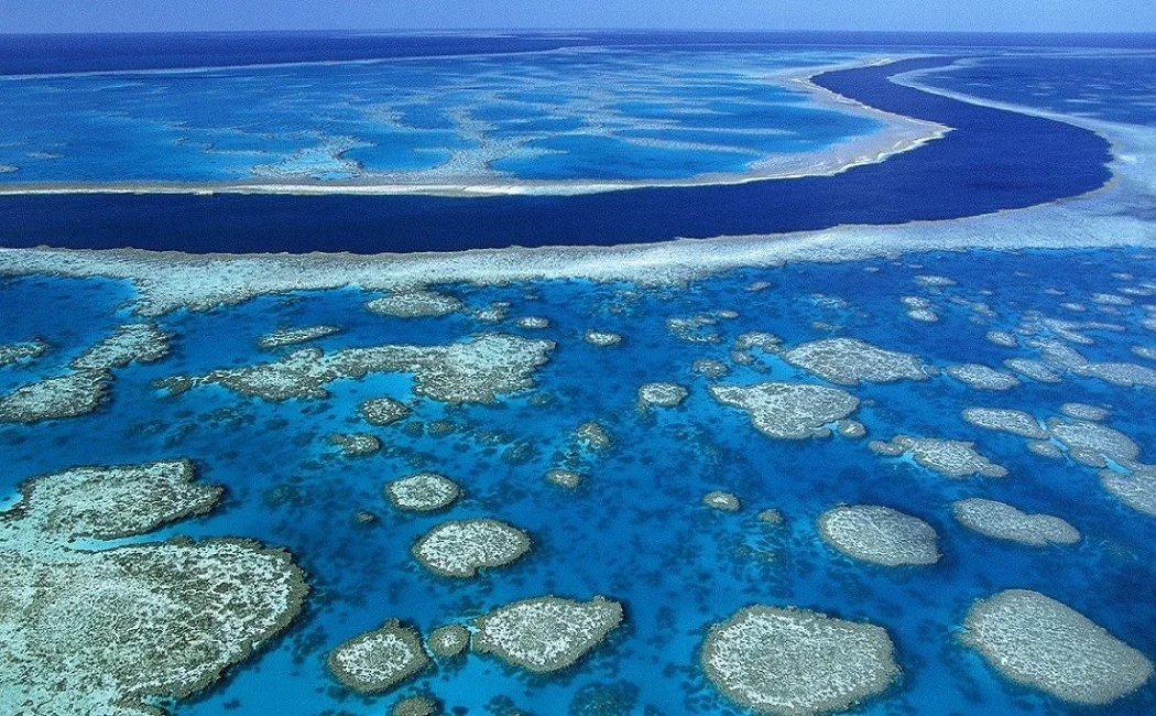 Gran Barrera de Coral, Australia, Oceania 1