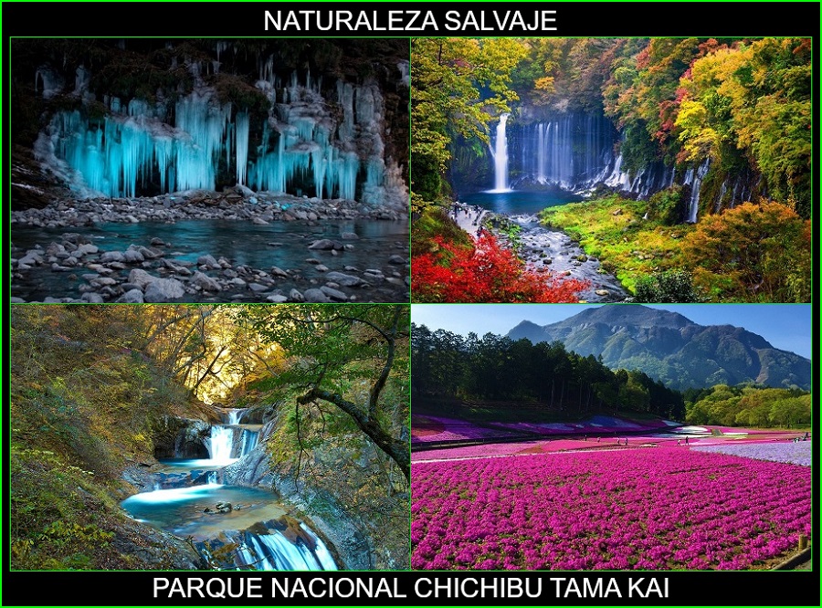 Parque Nacional Chichibu Tama Kai, lugares más bellos de Japón y el mundo, naturaleza salvaje 1