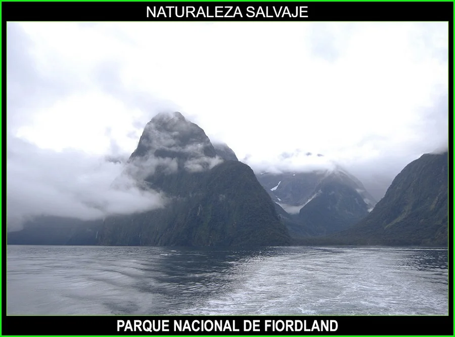 Parque nacional de Fiordland, Milford Sound, Te Wāhipounamu, Nueva Zelanda, Naturaleza salvaje 5