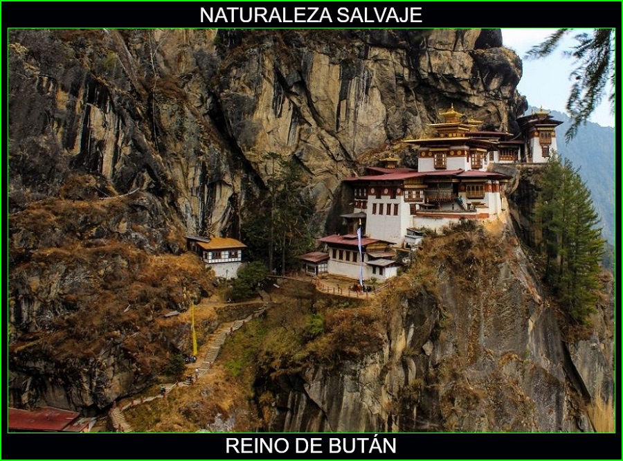 Reino de Bután, lugares más bonitos de asia y del mundo, naturaleza salvaje 1