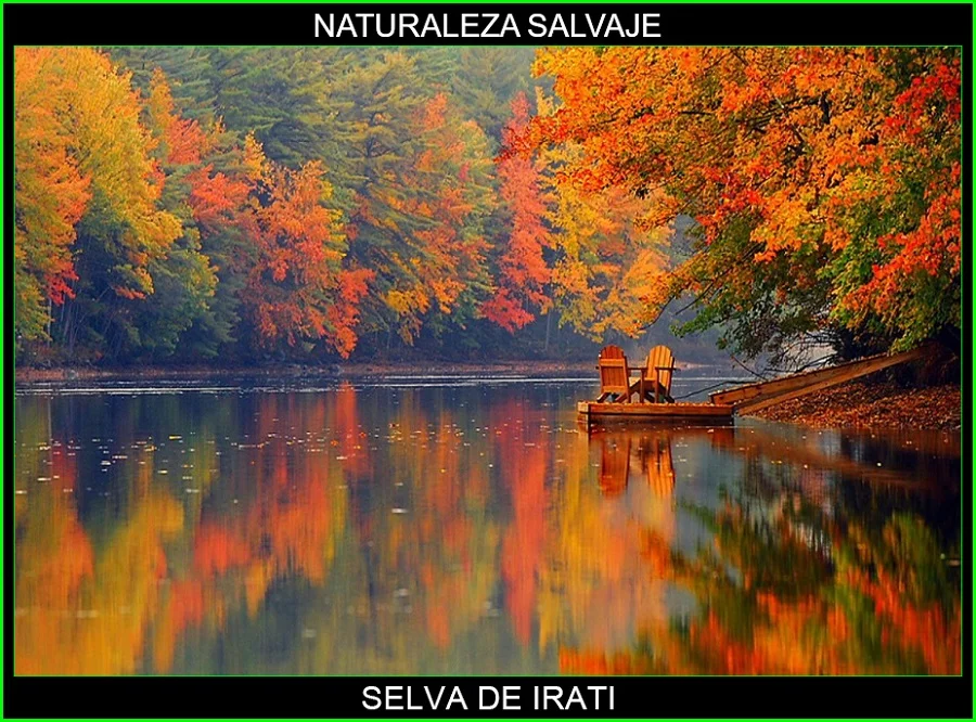 Selva de Irati, bosque de Irati, lugares magicos de España, naturaleza salvaje 2