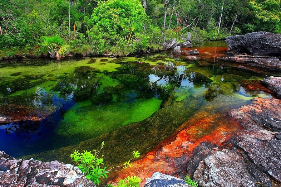 Caño Cristales, el río de los cinco colores, lugares más bellos del mundo, naturaleza salvaje 1