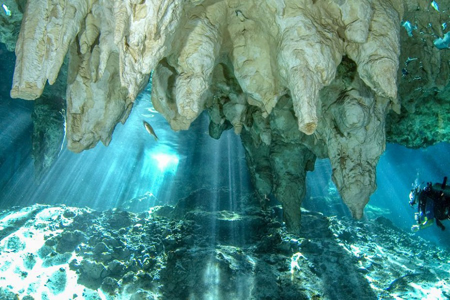 Sistema Dos Ojos, cuevas más largas del mundo, cuevas más grandes del planeta