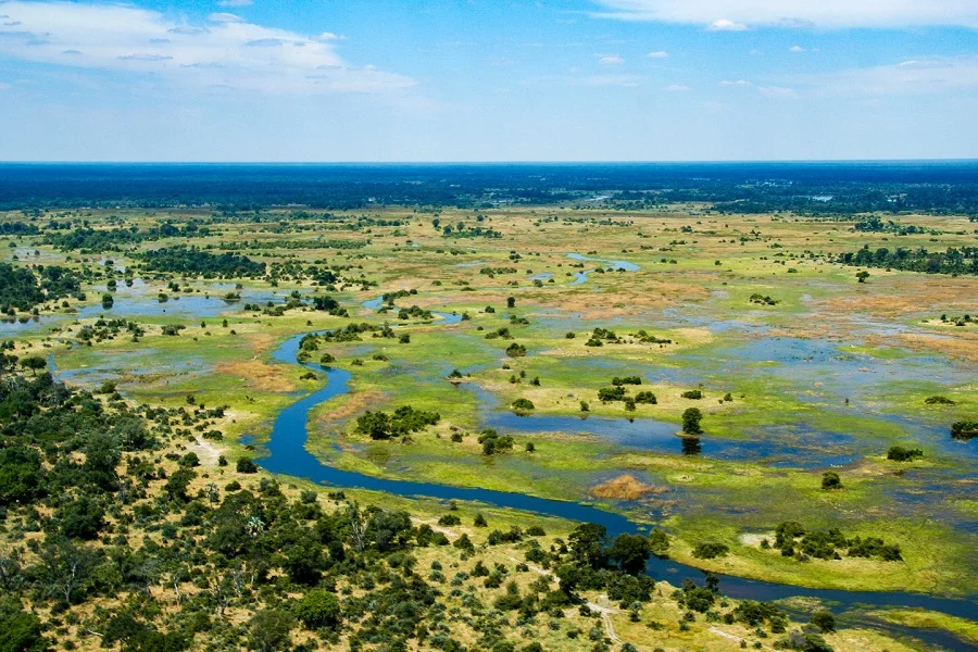 Delta del Okavango, Lugares más bellos del mundo, naturaleza salvaje 3