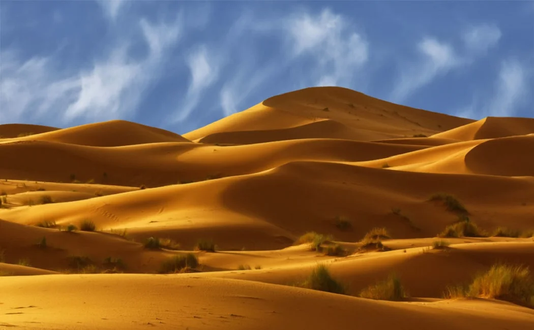 Desierto del Sahara 1