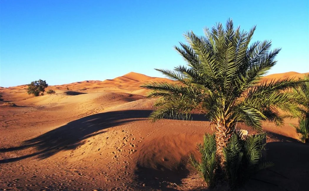 Desierto del Sahara 2