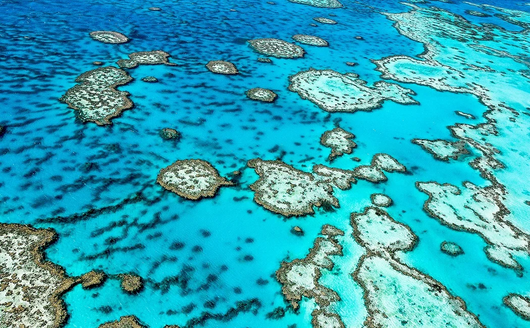 Gran Barrera de Coral, Australia, Oceania 2