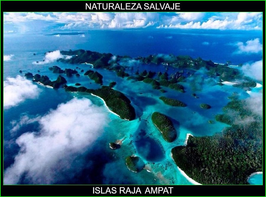 Islas Raja Ampat, lugares más bellos de Asia y del mundo, Indonesia, naturaleza salvaje 1