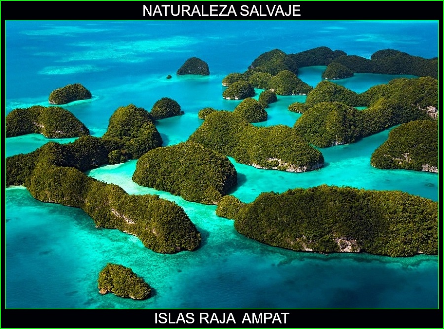 Islas Raja Ampat, lugares más bellos de Asia y del mundo, Indonesia, naturaleza salvaje 3