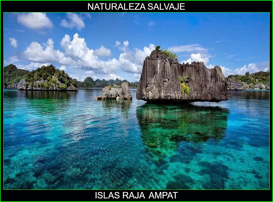 Islas Raja Ampat, lugares más bellos de Asia y del mundo, Indonesia, naturaleza salvaje 4
