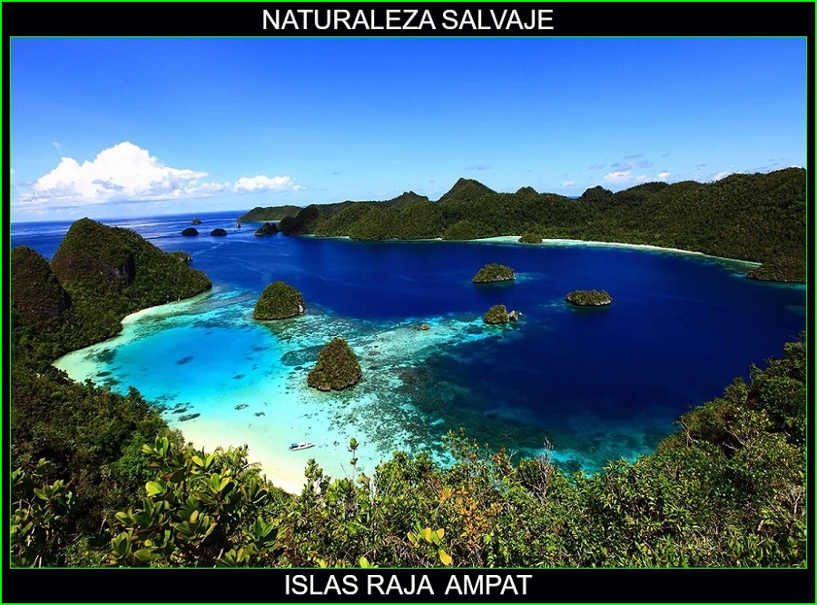 Islas Raja Ampat, lugares más bellos de Asia y del mundo, Indonesia, naturaleza salvaje 7