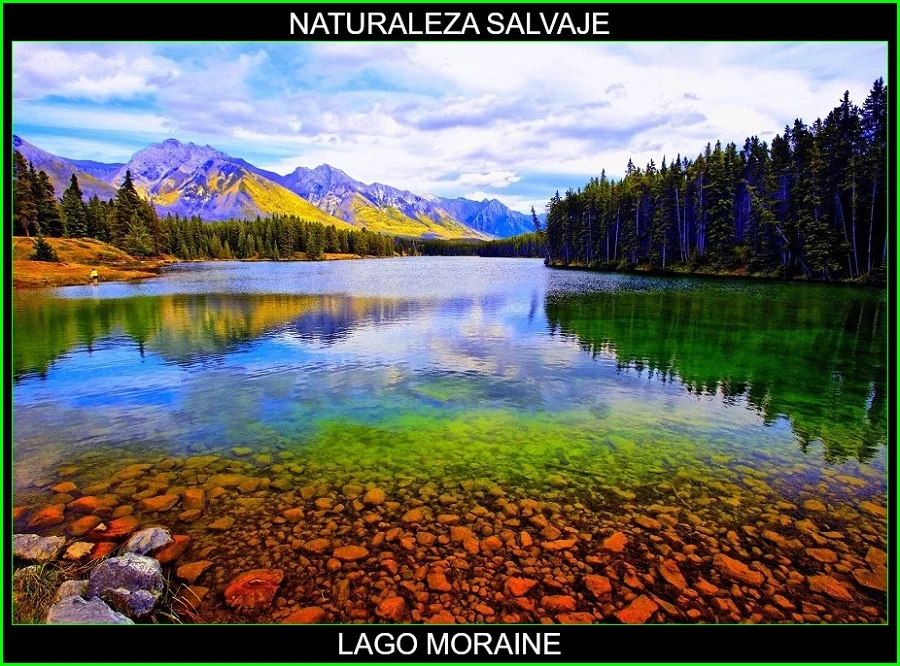 Lago Moraine, valle de los Diez Picos, Parque Nacional Banff, Canadá, naturaleza salvaje 3