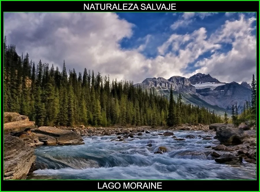Lago Moraine, valle de los Diez Picos, Parque Nacional Banff, Canadá, naturaleza salvaje 4