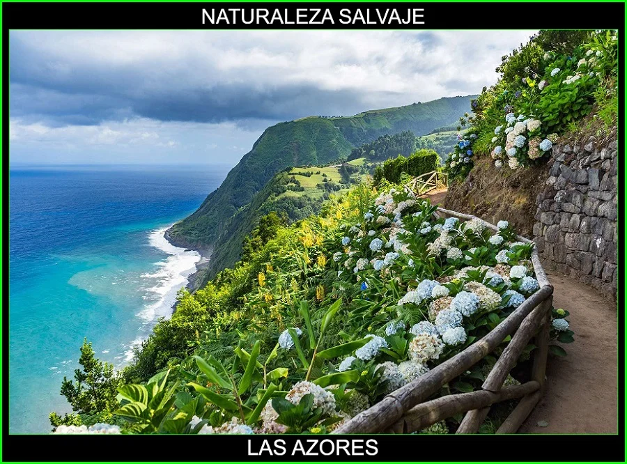 Las Azores, Islas de Las Azores, Archipielago de las Azores, naturaleza salvaje 3