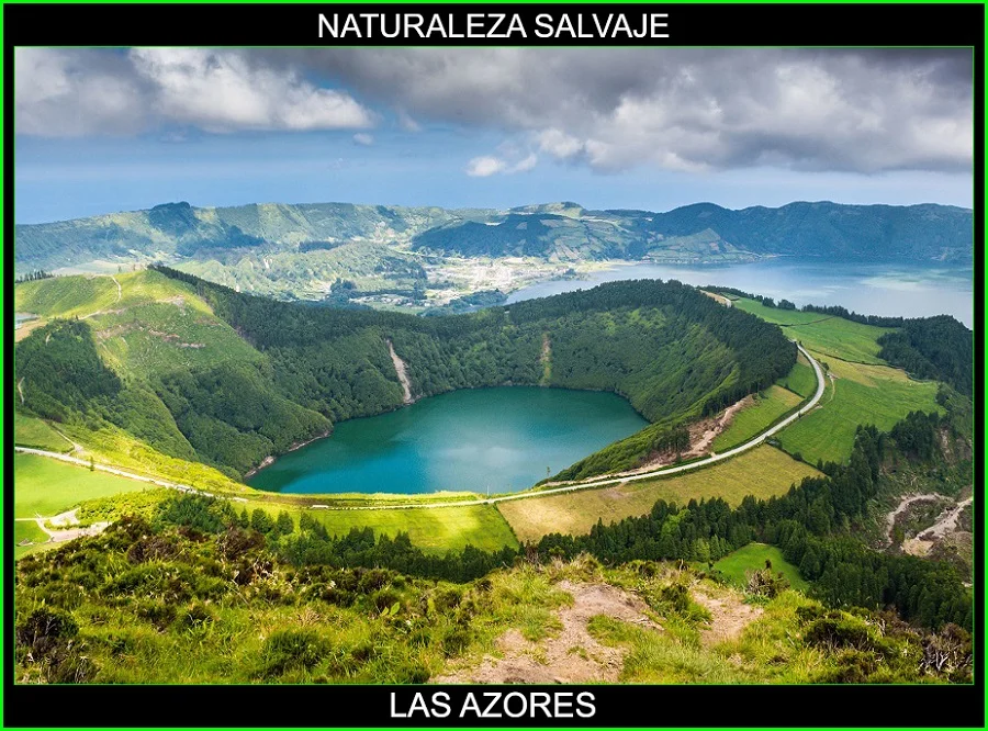 Las Azores, Islas de Las Azores, Archipielago de las Azores, naturaleza salvaje 5