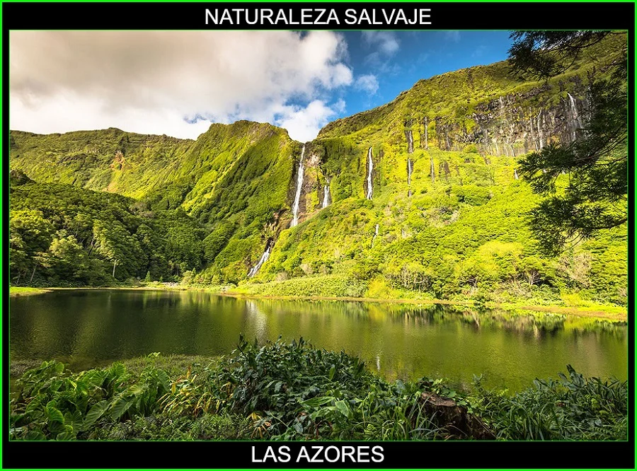 Las Azores, Islas de Las Azores, Archipielago de las Azores, naturaleza salvaje 6