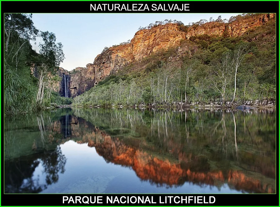 Parque Nacional Litchfield, naturaleza salvaje 3