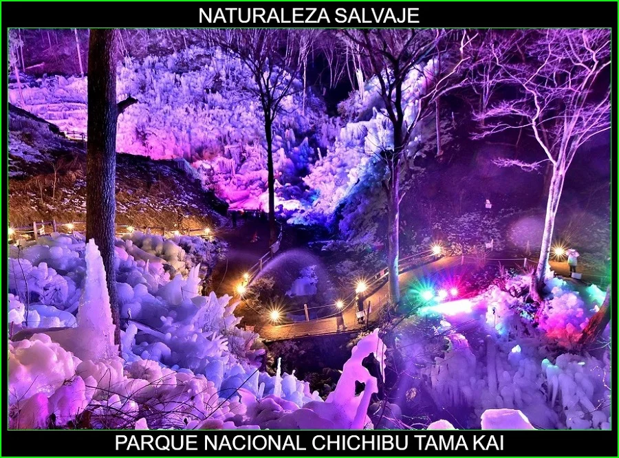 Parque Nacional Chichibu Tama Kai, lugares más bellos de Japón y el mundo, naturaleza salvaje 2