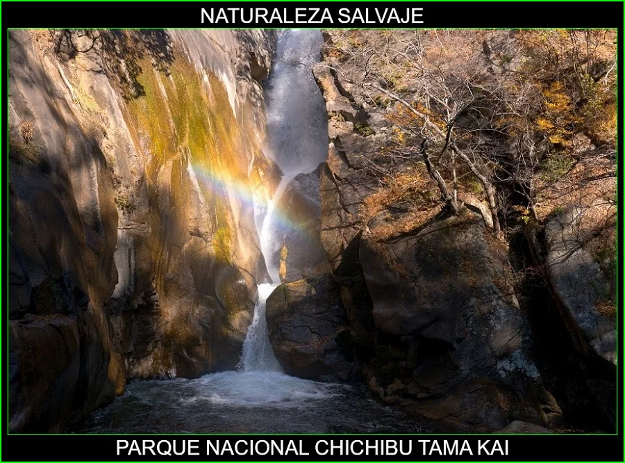 Parque Nacional Chichibu Tama Kai, lugares más bellos de Japón y el mundo, naturaleza salvaje 4