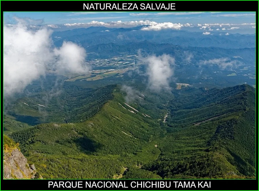 Parque Nacional Chichibu Tama Kai, lugares más bellos de Japón y el mundo, naturaleza salvaje 6
