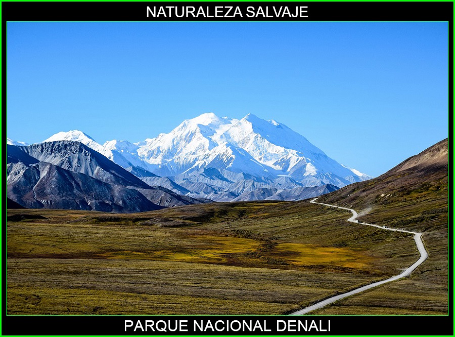 Parque Nacional Denali, lugares más bellos de Alaska y del mundo, naturaleza salvaje