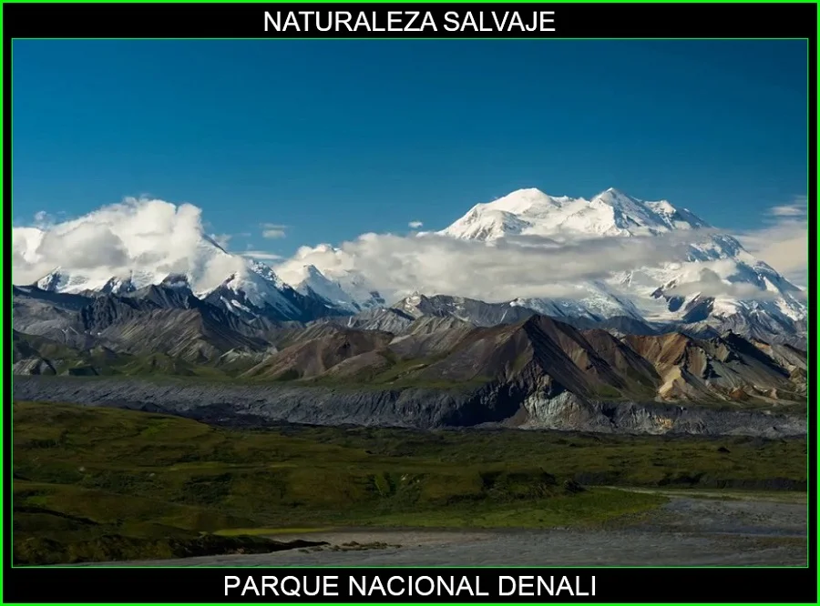 Parque Nacional Denali, lugares más bellos de Alaska y del mundo, naturaleza salvaje 5