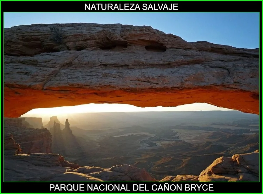 Parque Nacional del Cañón Bryce, Estados Unidos, naturaleza salvaje 5