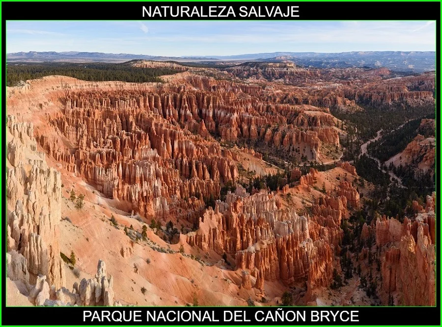 Parque Nacional del Cañón Bryce, Estados Unidos, naturaleza salvaje 6
