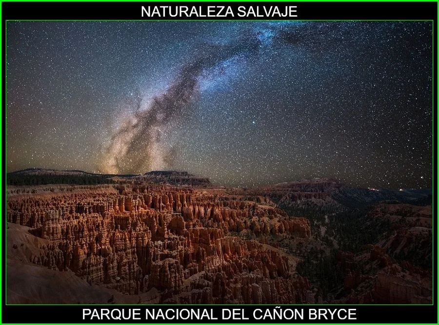 Parque Nacional del Cañón Bryce, Estados Unidos, naturaleza salvaje 7