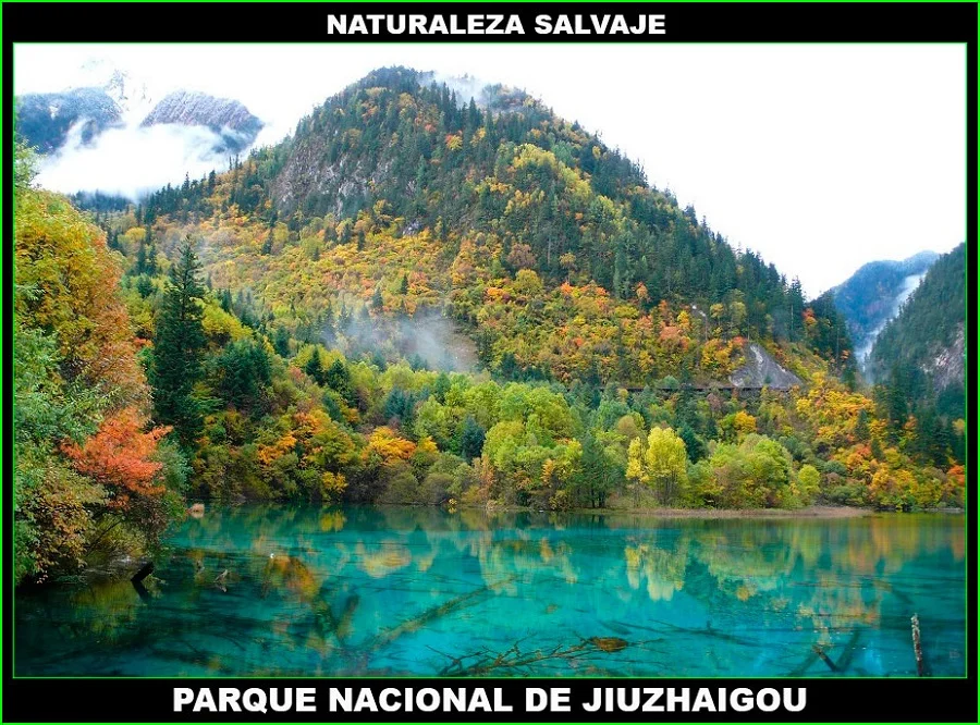 Parque Nacional de Jiuzhaigou, Valle de las nueve aldeas, China, naturaleza salvaje 5