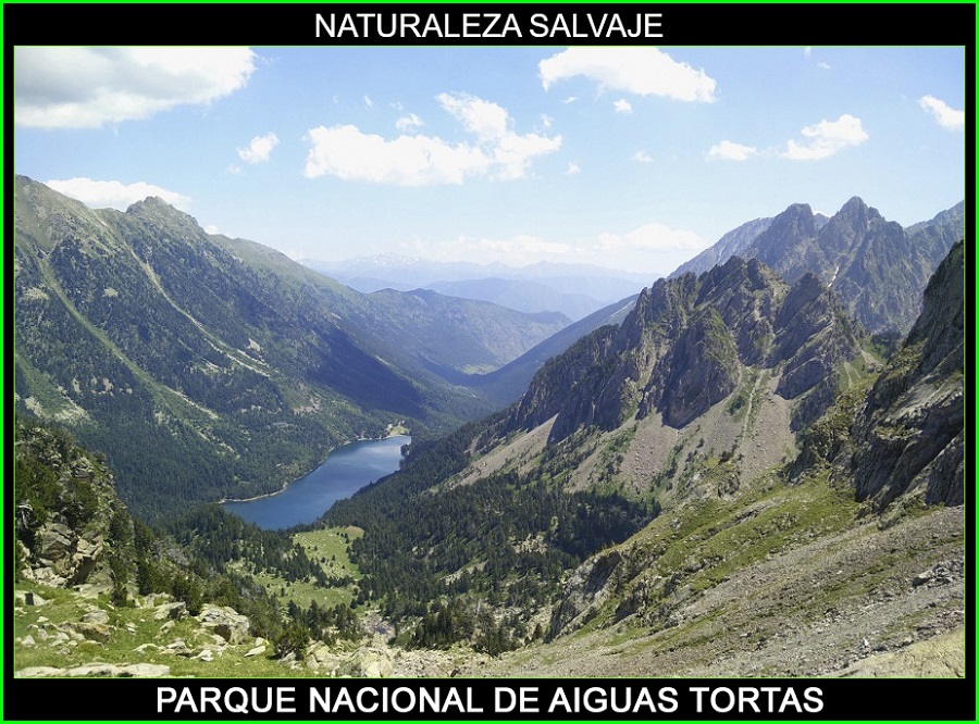 Parque nacional de Aiguas Tortas, Parques nacionales de España, naturaleza salvaje 3