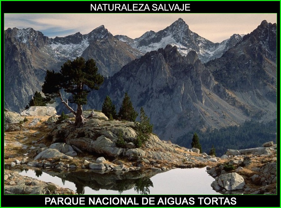 Parque nacional de Aiguas Tortas, Parques nacionales de España, naturaleza salvaje 4