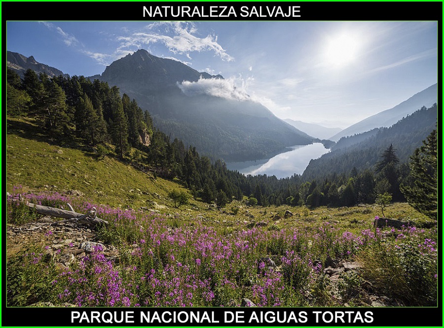 Parque nacional de Aiguas Tortas, Parques nacionales de España, naturaleza salvaje 5