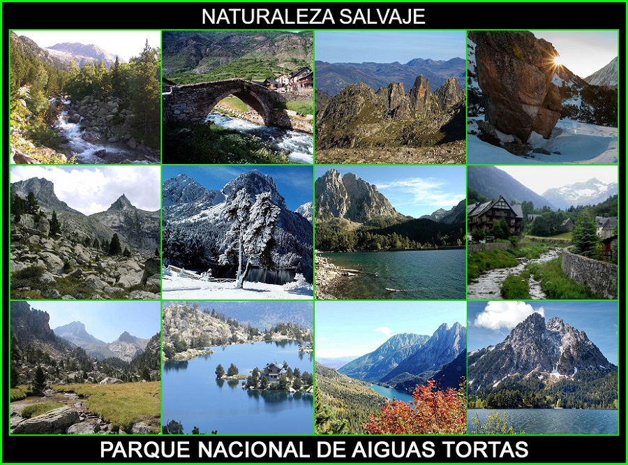 Parque nacional de Aiguas Tortas, Parques nacionales de España, naturaleza salvaje 6