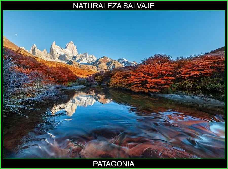 Patagonia, Lugares más bellos de América y del mundo, naturaleza salvaje 5