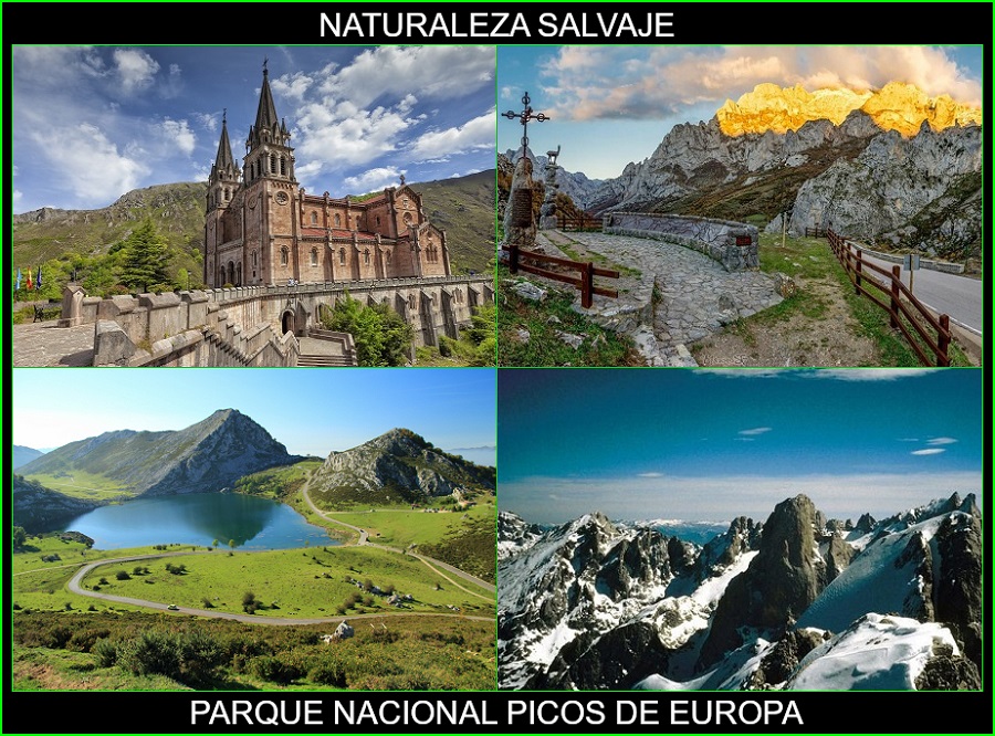 Parque nacional Picos de Europa, lugares más bellos de España, de Europa y del mundo, naturaleza salvaje 1