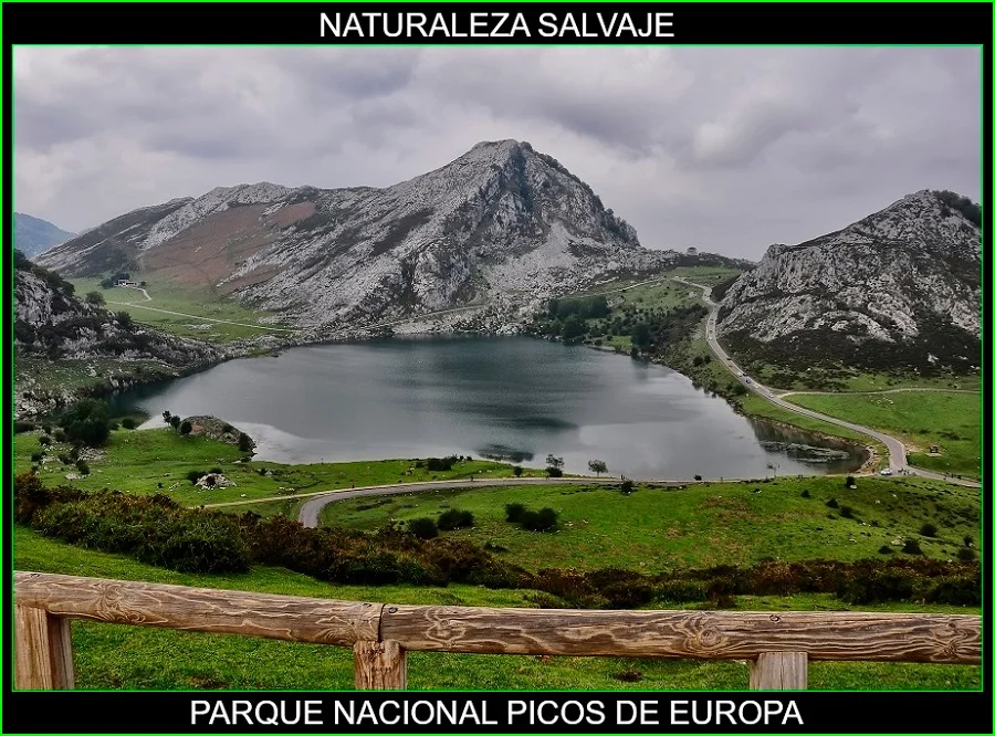 Parque nacional Picos de Europa, lugares más bellos de España, de Europa y del mundo, naturaleza salvaje 6