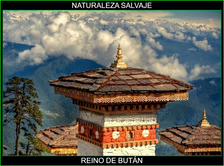 Reino de Bután, lugares más bonitos de asia y del mundo, naturaleza salvaje 2