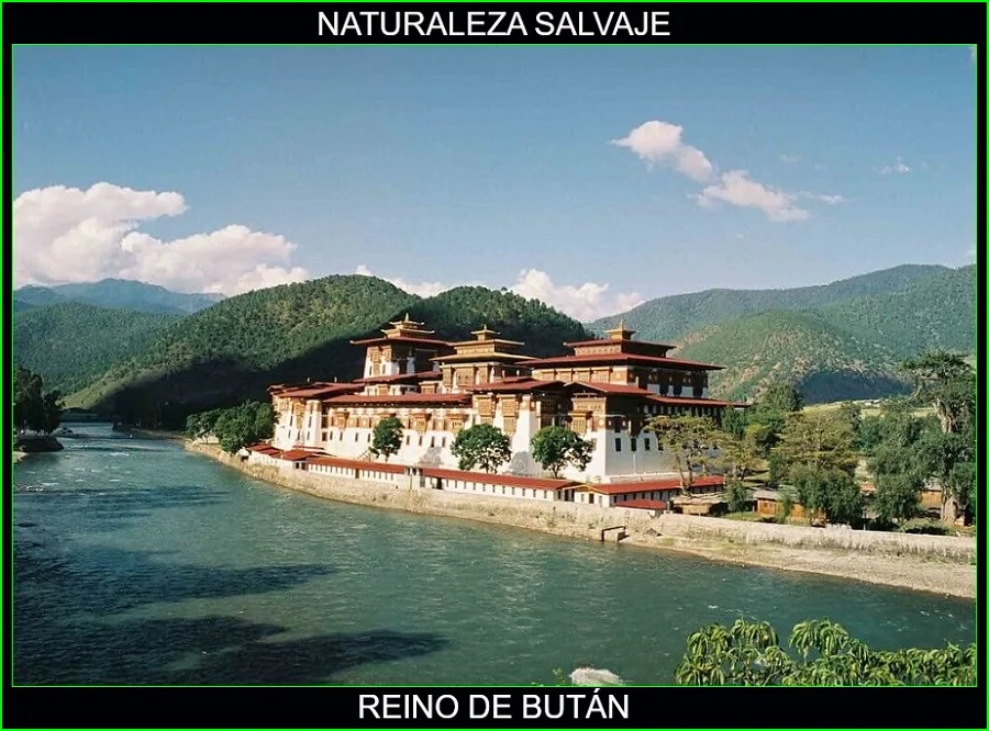 Reino de Bután, lugares más bonitos de asia y del mundo, naturaleza salvaje 3