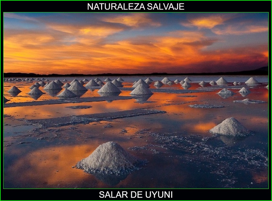 Salar de Uyuni, lugares bonitos de América y del mundo, naturaleza salvaje 1