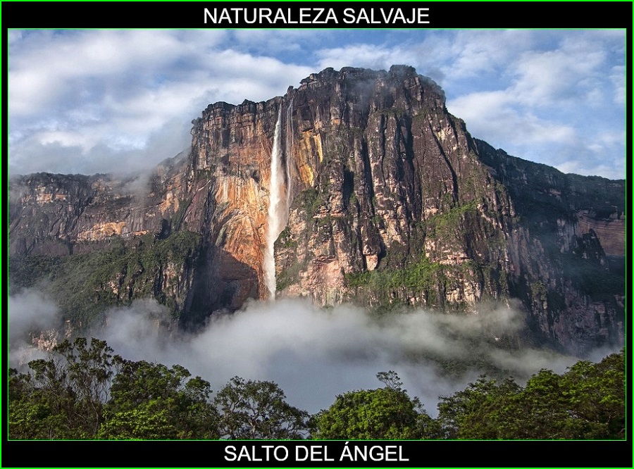 Salto del Ángel, Lugares más bellos de América y del mundo, naturaleza salvaje 1