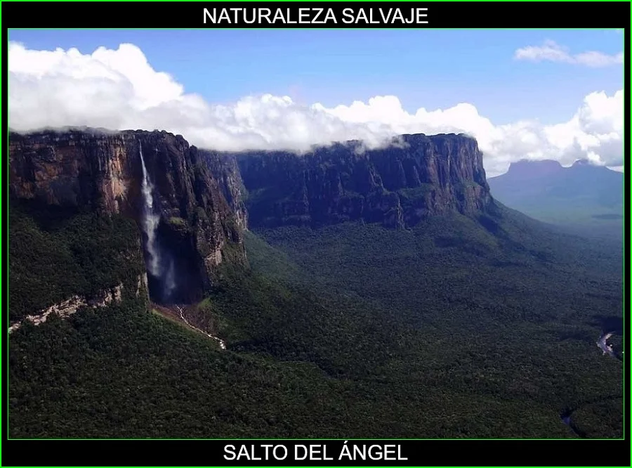 Salto del Ángel, Lugares más bellos de América y del mundo, naturaleza salvaje 2