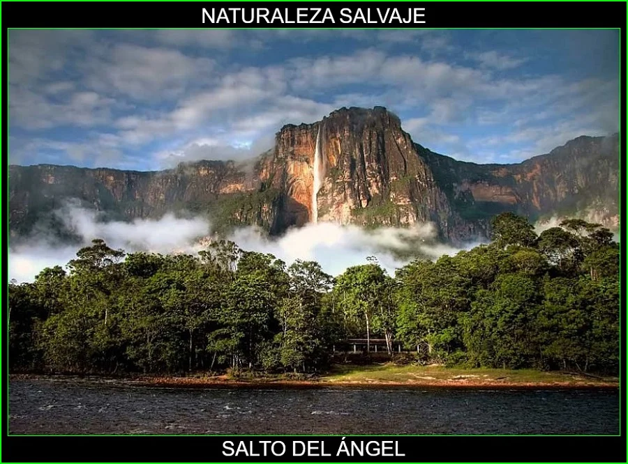 Salto del Ángel, Lugares más bellos de América y del mundo, naturaleza salvaje 3