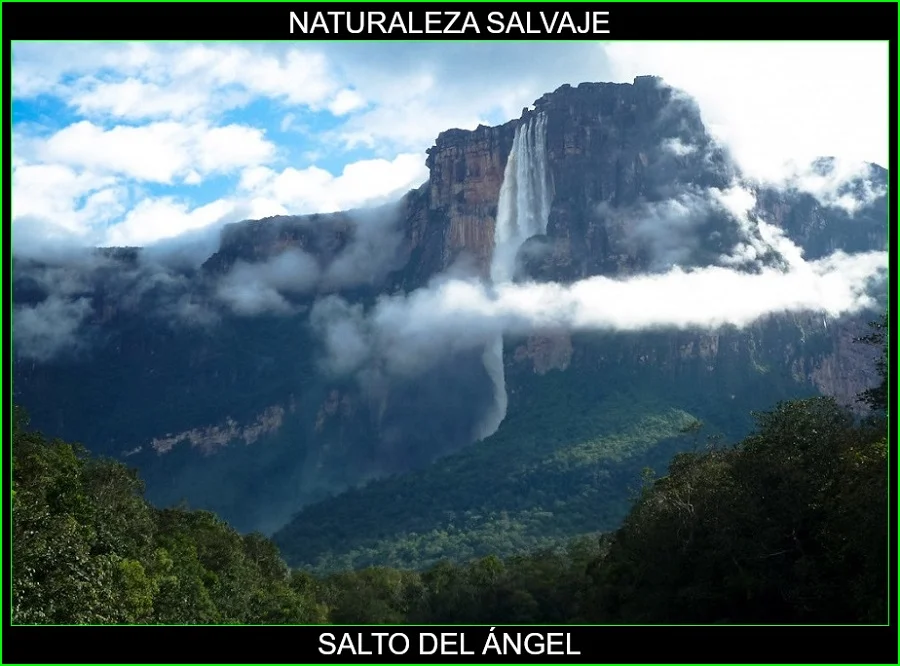 Salto del Ángel, Lugares más bellos de América y del mundo, naturaleza salvaje 4