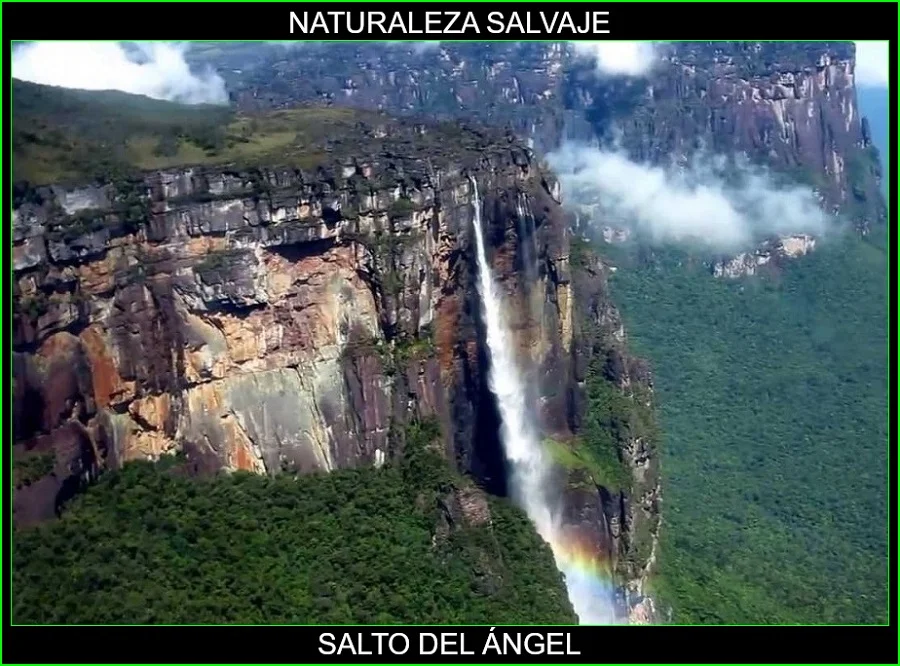Salto del Ángel, Lugares más bellos de América y del mundo, naturaleza salvaje 5