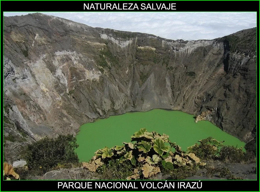 Parque Nacional Volcán Irazú 2
