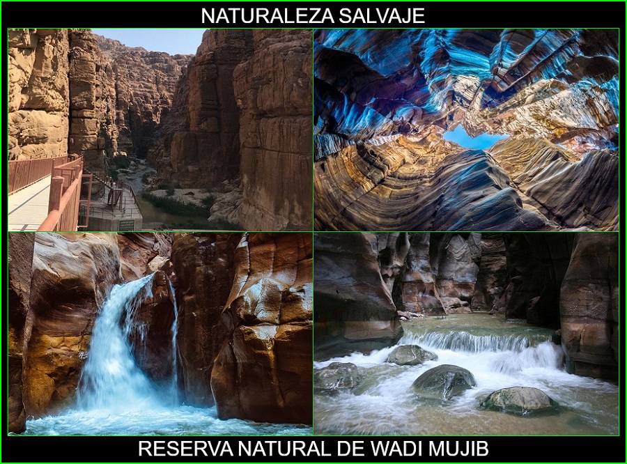 Wadi Mujib, reserva Natural de Wadi Mujib, lugares más bellos de Asia y del mundo, naturaleza salvaje 1