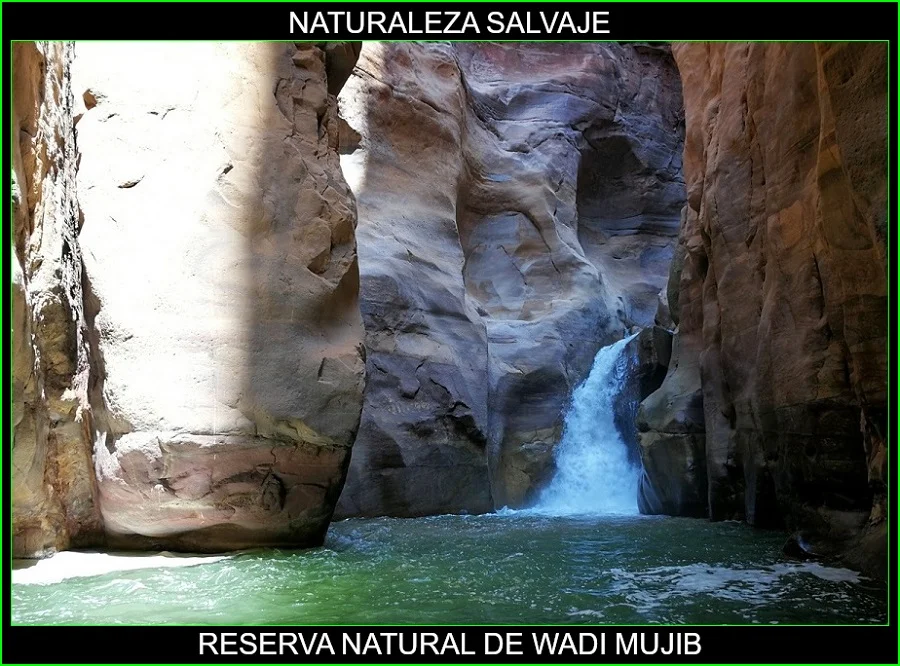 Wadi Mujib, reserva Natural de Wadi Mujib, lugares más bellos de Asia y del mundo, naturaleza salvaje 2